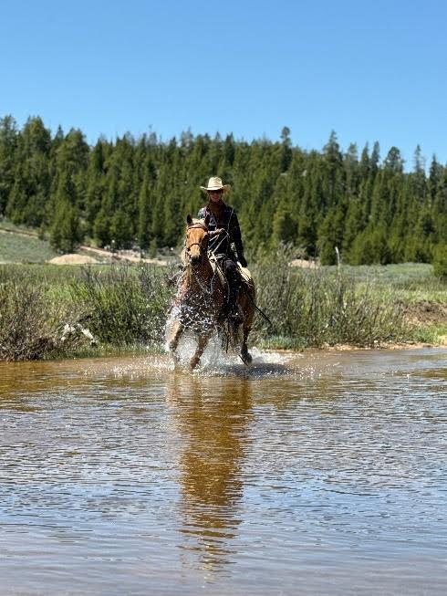 Riders galloping across stunning Wyoming wilderness