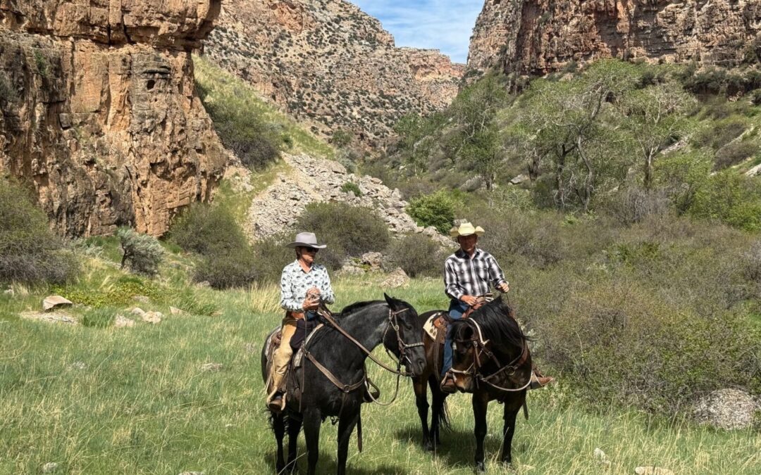 Why Spring Is the Best Time for a Wyoming Ranch Vacation