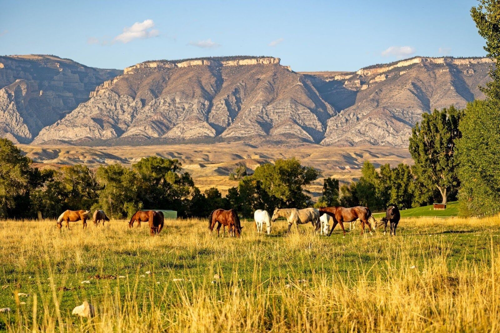 Horses grazing in a meadow below a rocky mountain ridge.
