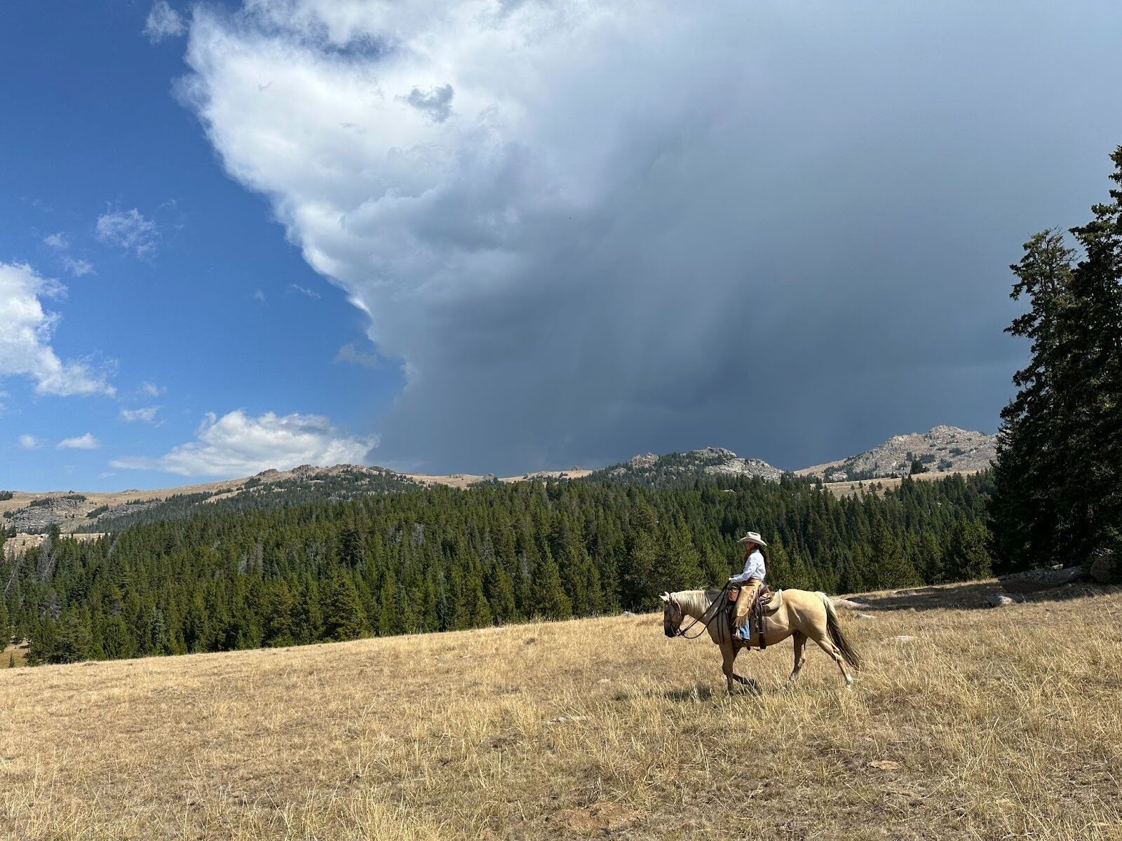 A horseback rider crossing a meadow beneath large clouds.