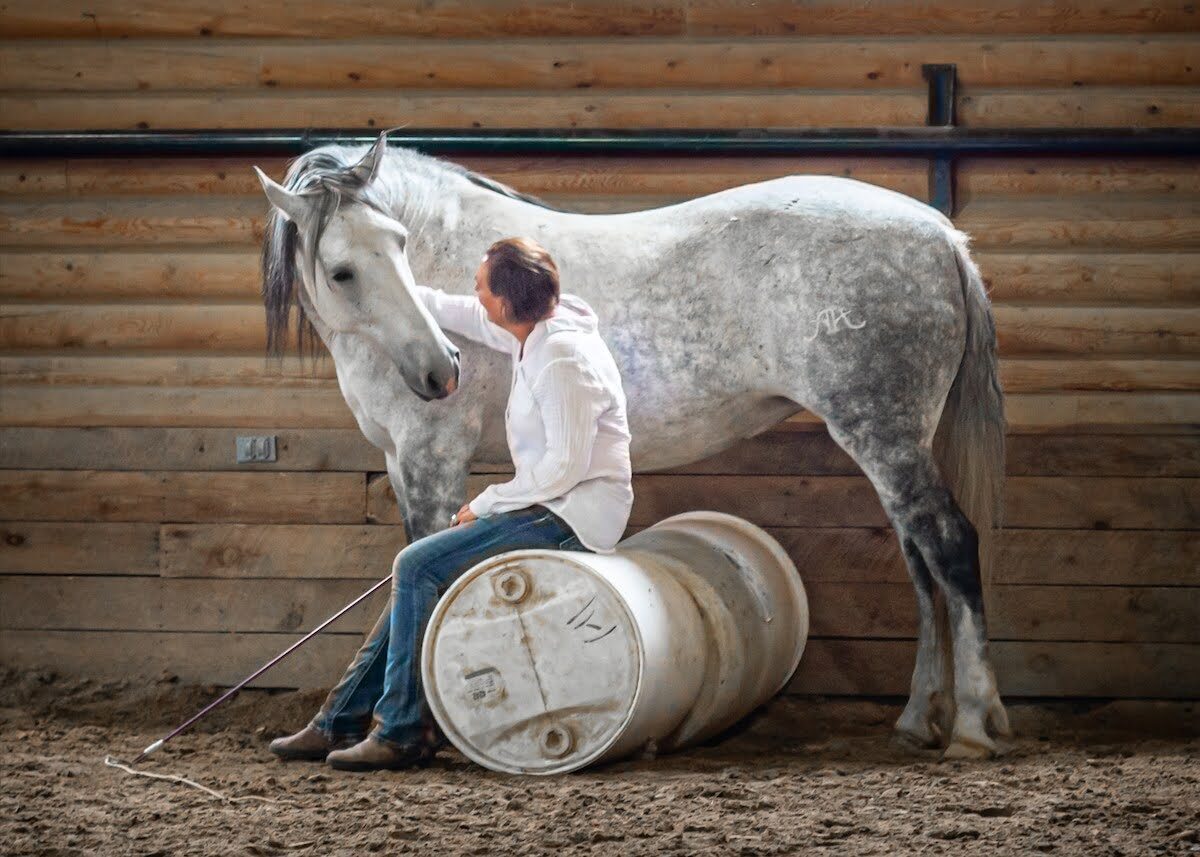 A person seated on a barrel beside a gray horse against a log wall.