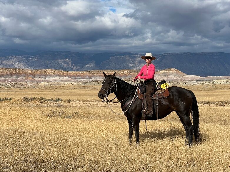 A rider on horseback in open Wyoming country