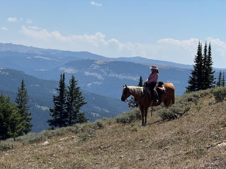 A rider on horseback in a mountain meadow