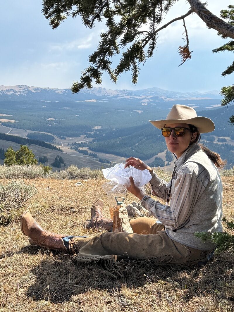 Horseback riders in a Wyoming canyon