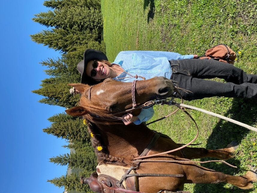 A rider on horseback in open country