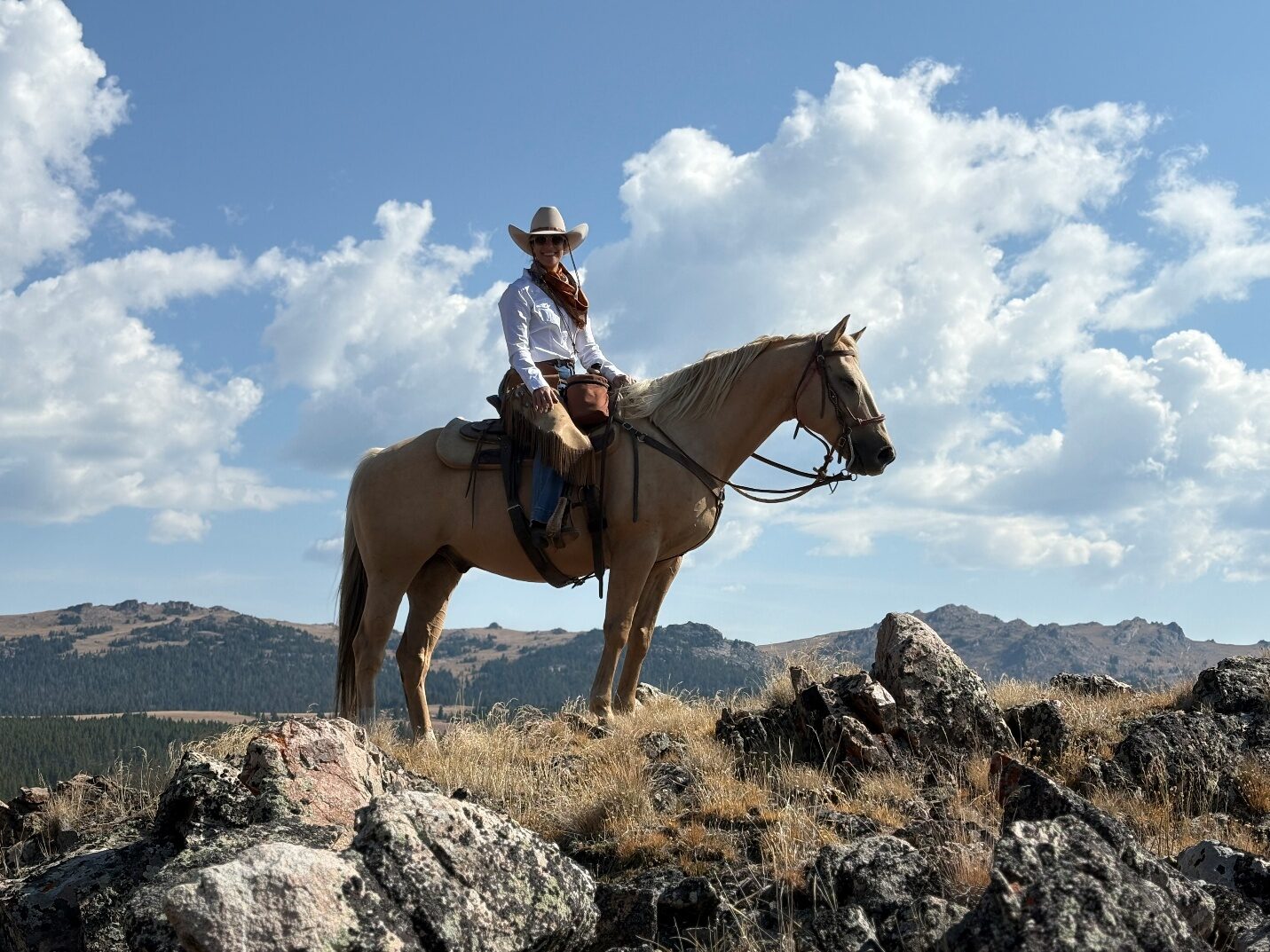 Rider on a brown horse standing among rocks with mountains in the distance.