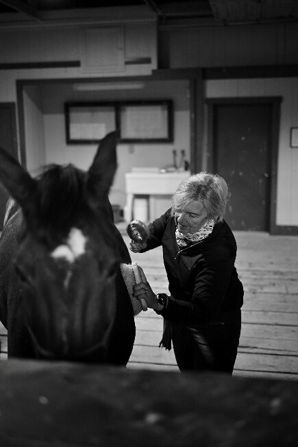 Black-and-white photograph of a woman touching a dark horse's face.