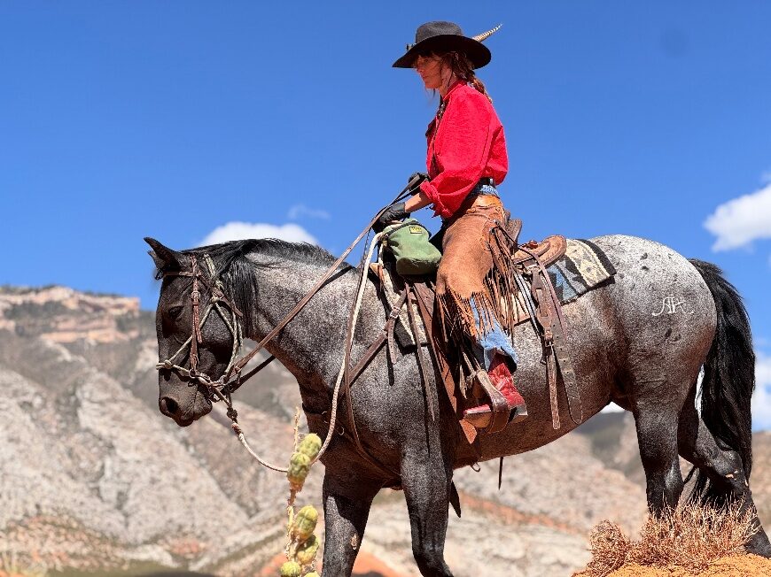 Rider in a red shirt on a gray horse in a rocky landscape.