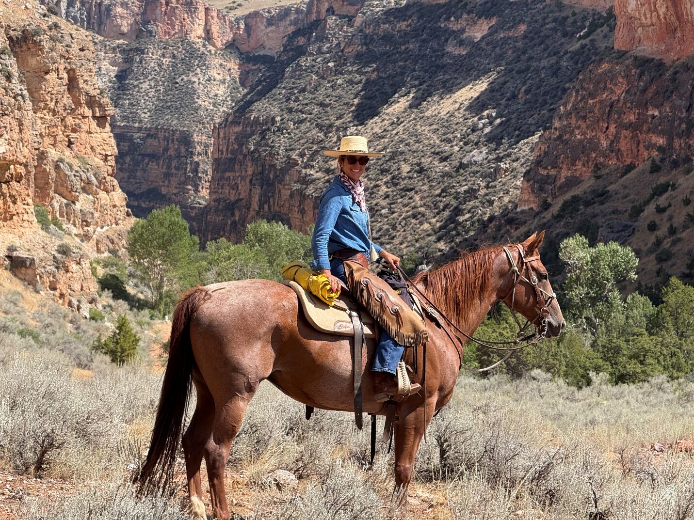Rider on a chestnut horse beneath tall canyon cliffs.