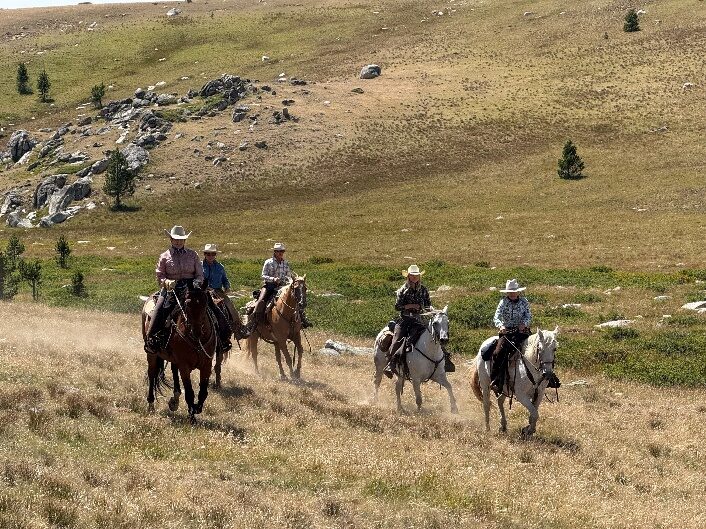 Four horseback riders crossing a grassy mountain slope.