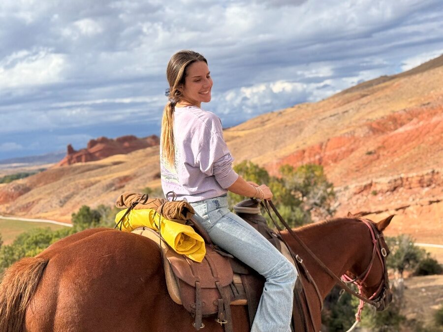 Rider on a chestnut horse beside red sandstone hills.