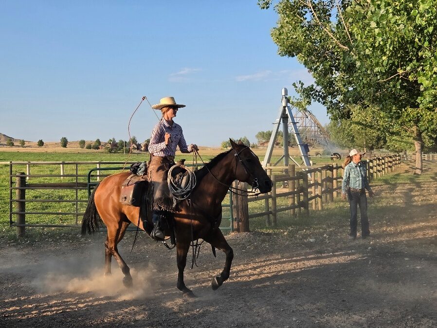 Rider on a dark horse in a fenced riding area.