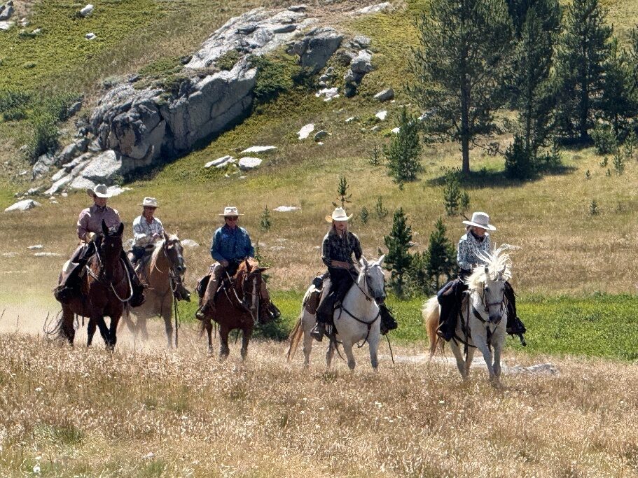 A group riding horses across grass below rocks and pine trees.