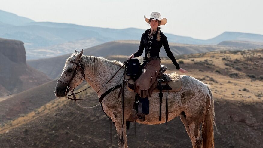 Rider on a gray horse with distant mountains behind.