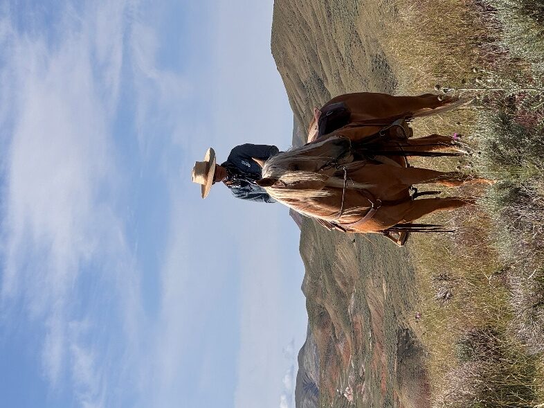 Rider on a chestnut horse in an open mountain landscape.