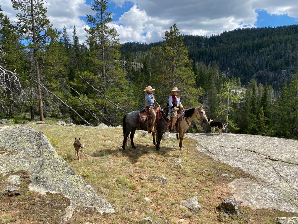 Two horseback riders following a trail through mountain forest.