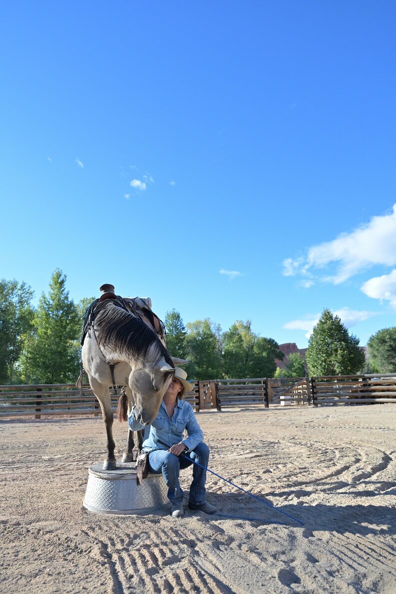 A person standing beside a gray horse in a sandy riding area.
